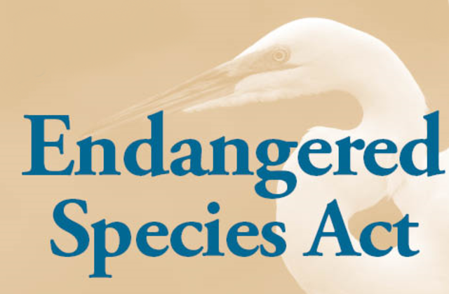 Endangered Species Act