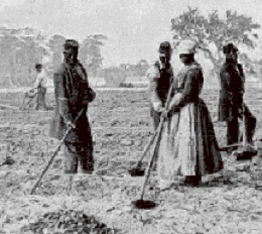 End of Slavery- Abolition Act