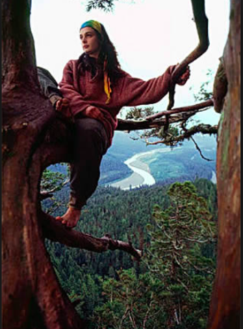 Julia Butterfly Hill