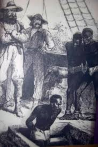 First slaves in North America