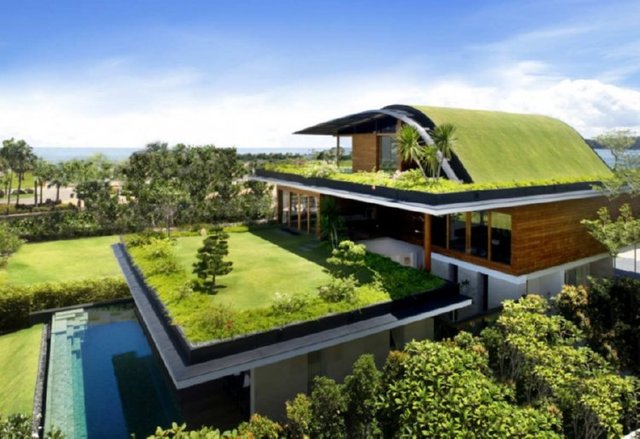 Green roofs as a means of pollution abatement