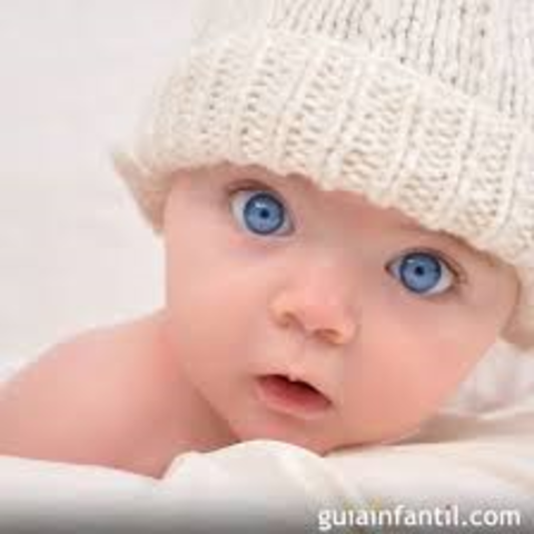 Nacimiento de Bill Gates