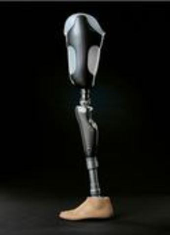 The Invention of Prosthesis