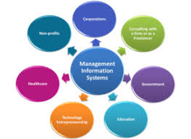 Management Information System