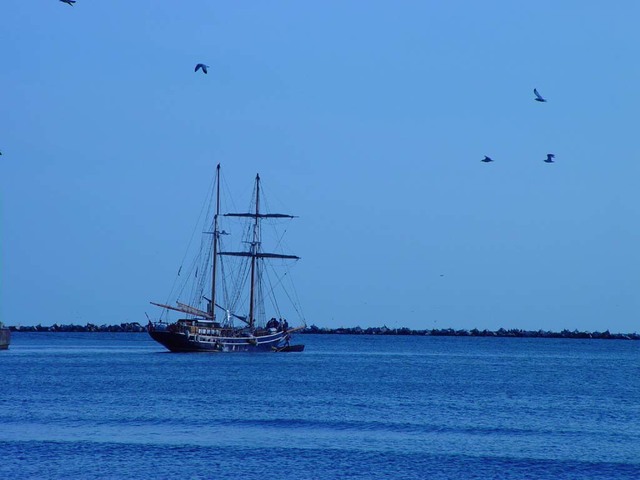 People come from Europe