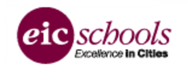 Excellence in Cities Initiative