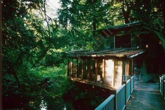 Buys Carnation home - in vain