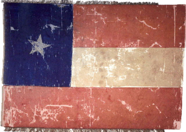 The Texan Flag    : )