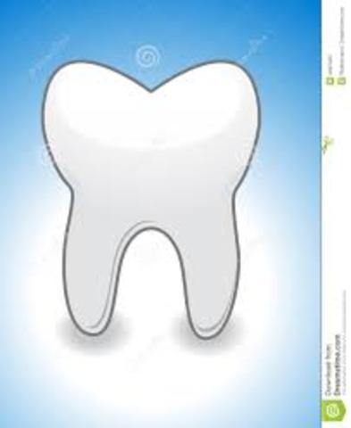 Lost my first tooth and lost it again