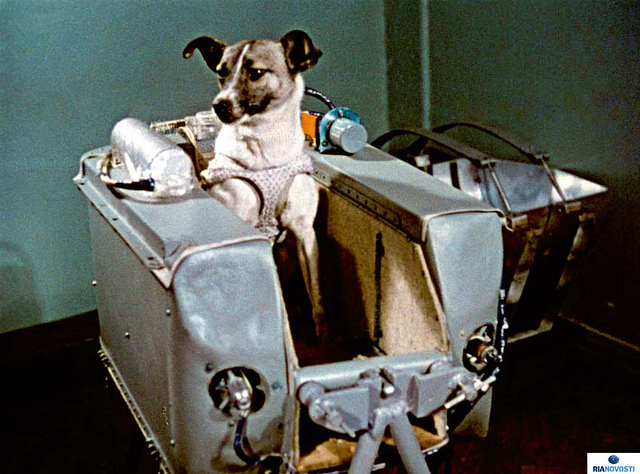 soviets launch sputnik 2