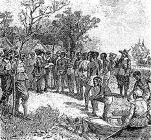 Africans in Jamestown numbered only about 2,000 in Virginia-only about 7% of the total population of the South.