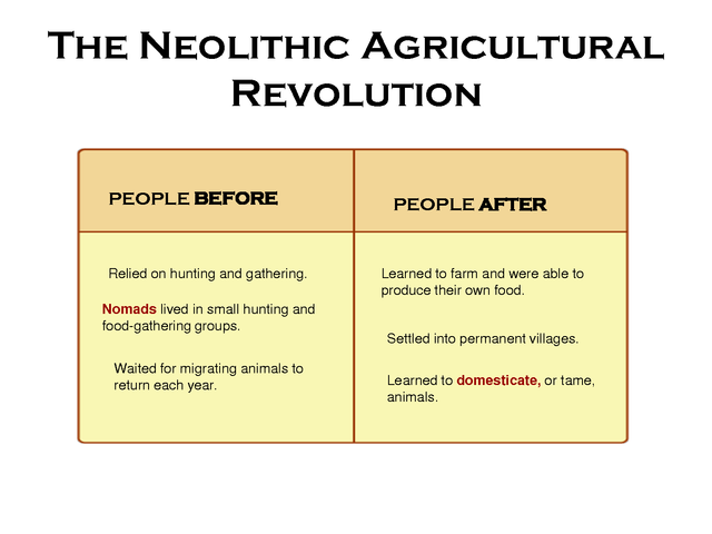 Neolithic Revolution