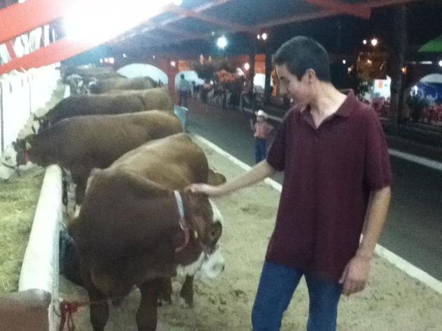 inicios de lo que quiero para el futuro