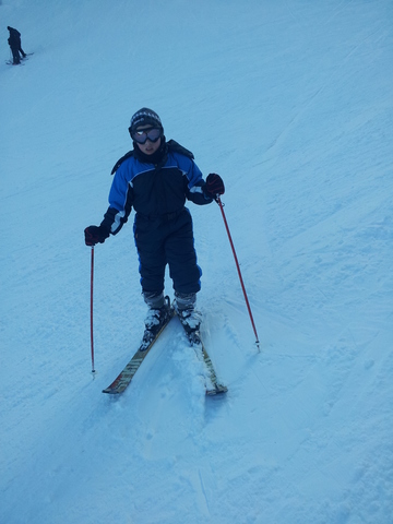 טסתי  בולגריה