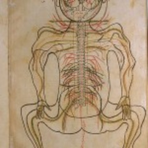 9th century Middle East