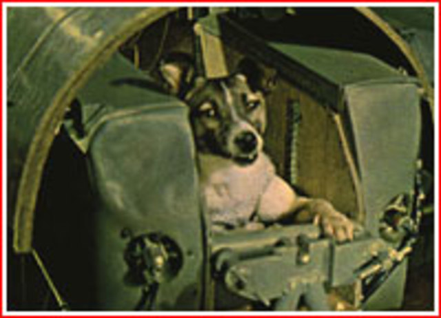 USSR launches Sputnic 2