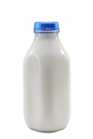 Louis Pasteur (microbiology) pasteurization of milk