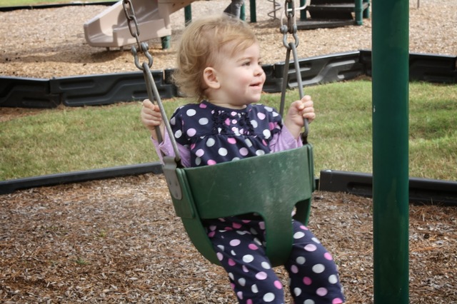 Education of the Handicaped Act Amendments