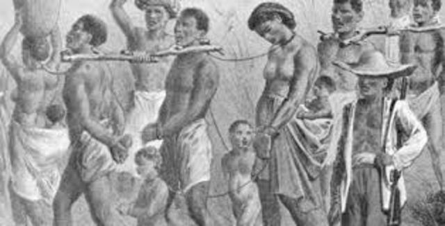 Slavery becomes dominant labor