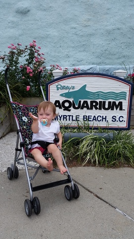 Isabella gets to the Myrtle Beach Aquarium