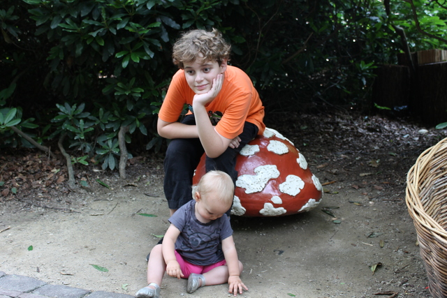 נולדה לי בת דודה הקטנה בהולנד