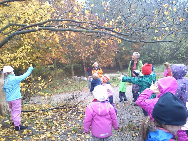 ΦΘΙΝΟΠΩΡΙΝΗ ΕΞΟΡΜΗΣΗ ΣΤΟ ΔΑΣΟΣ