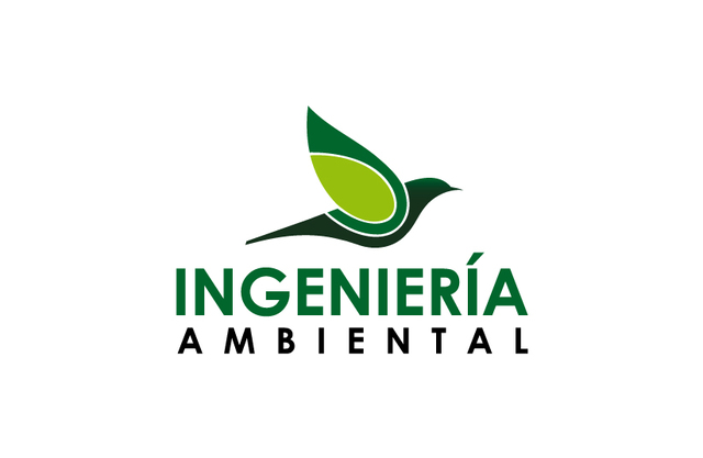 Inicio de la "Ing. Ambiental" como  Profesion