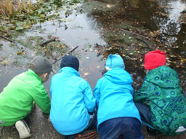 ΕΚΔΡΟΜΗ ΣΤΟ ΔΑΣΟΣ ΚΑΙ ΠΕΙΡΜΑΤΙΣΜΟΣ ΜΕ ΤΟ ΝΕΡΟ ΤΗΣ ΒΡΟΧΗΣ