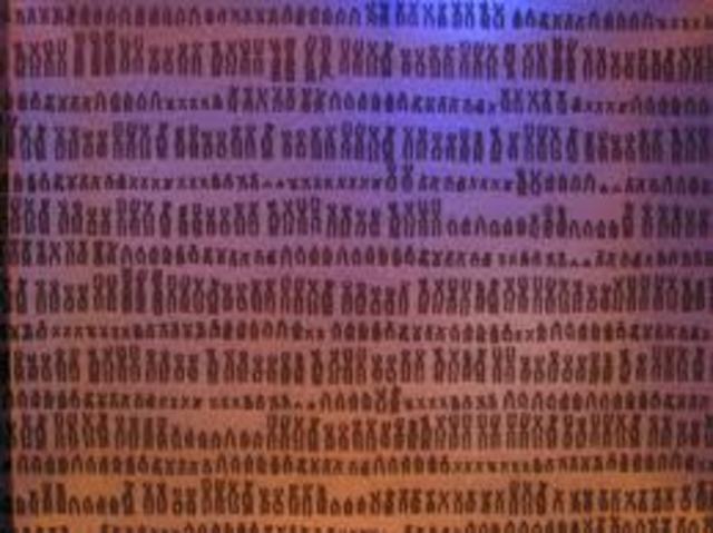 Mapeo completo del genoma humano