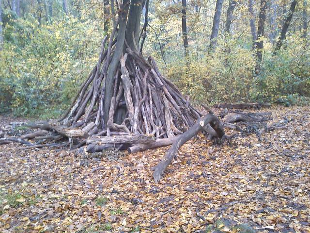 ΠΕΙΡΑΜΑΤΙΣΜΟΣ ΜΕ ΤΑ ΞΥΛΑ ΤΟΥ ΔΑΣΟΥΣ
