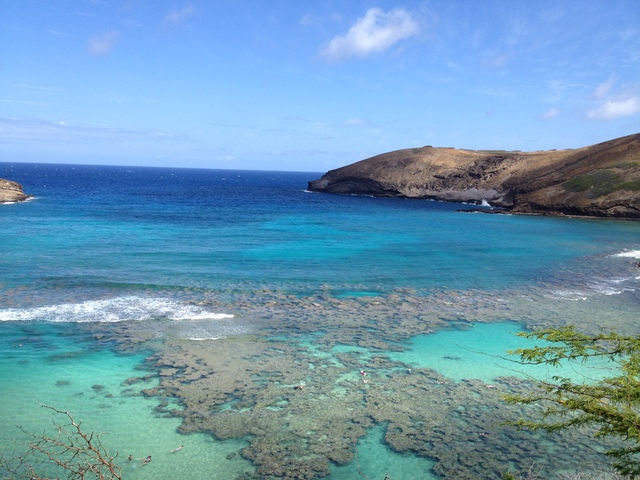 Begin career in Hawaii!