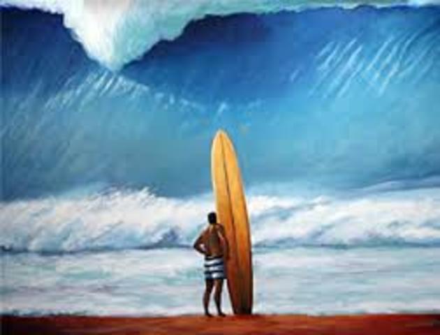 Surf Boards