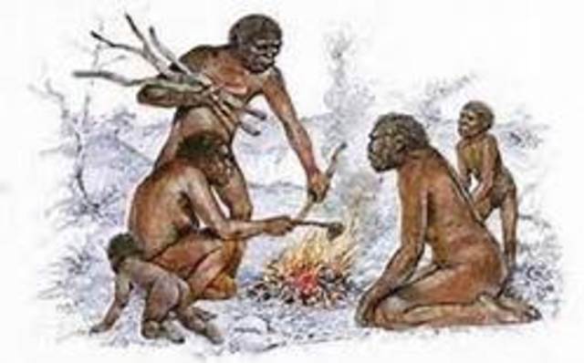 ORGANIZACIONES PRIMITIVAS