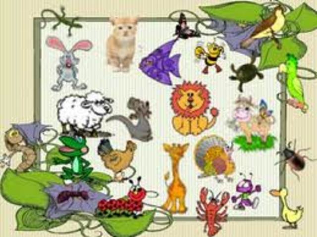 ANIMALES VERTEBRADOS