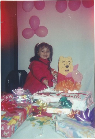 Mi primer año