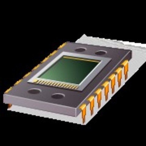 Microchip