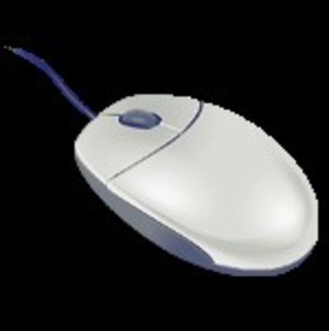 Computer Mouse