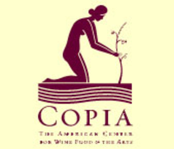 Began working as an Information Technology and Audio Visual Systems Administrator