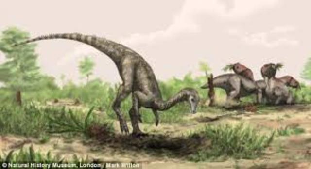 Mesozoic Triassic Period- 225- 195 MYA