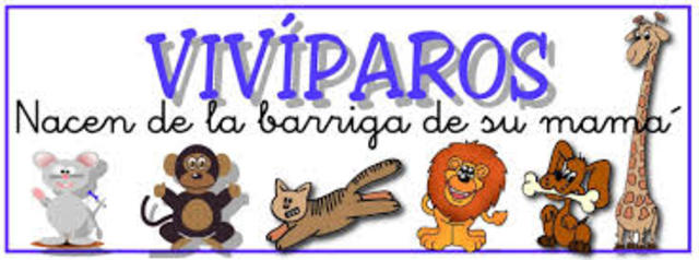 VIVIPAROS