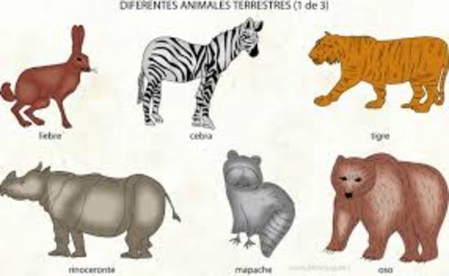 ANIMALES TERRESTRES