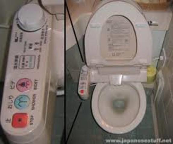 Japanese toilet