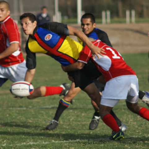 Aumento de jugadores a nivel nacional