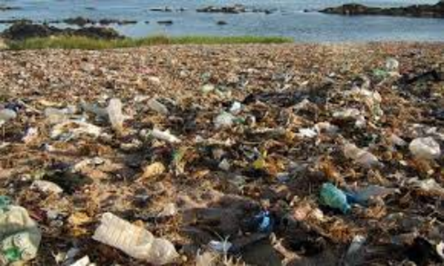 Pacific Gyre Garbage Patch