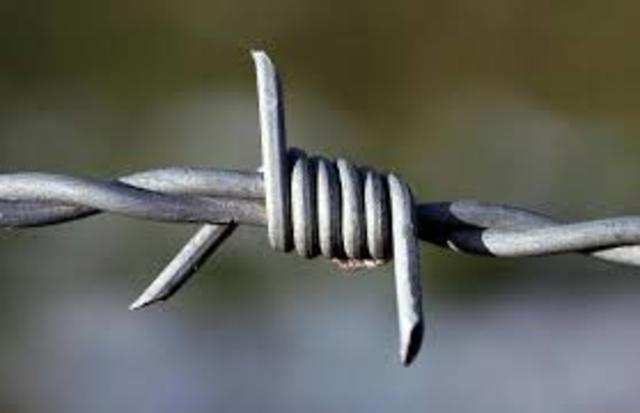 Barb wire