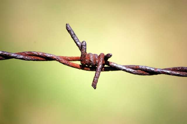 barbed wire