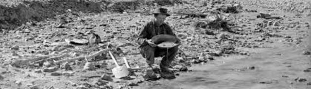 growth of new towns and cities to support cattle, mining, and farming industries