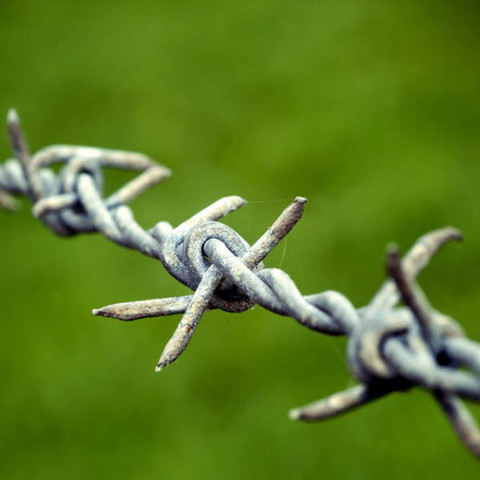 Barbed Wire