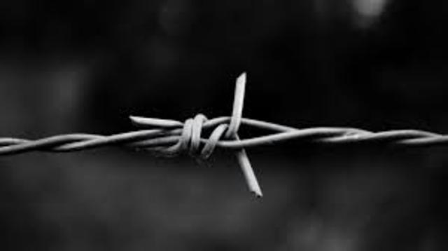 Barbed Wire