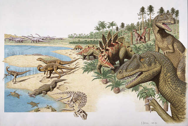 Jurassic Period- 195-136 MYA